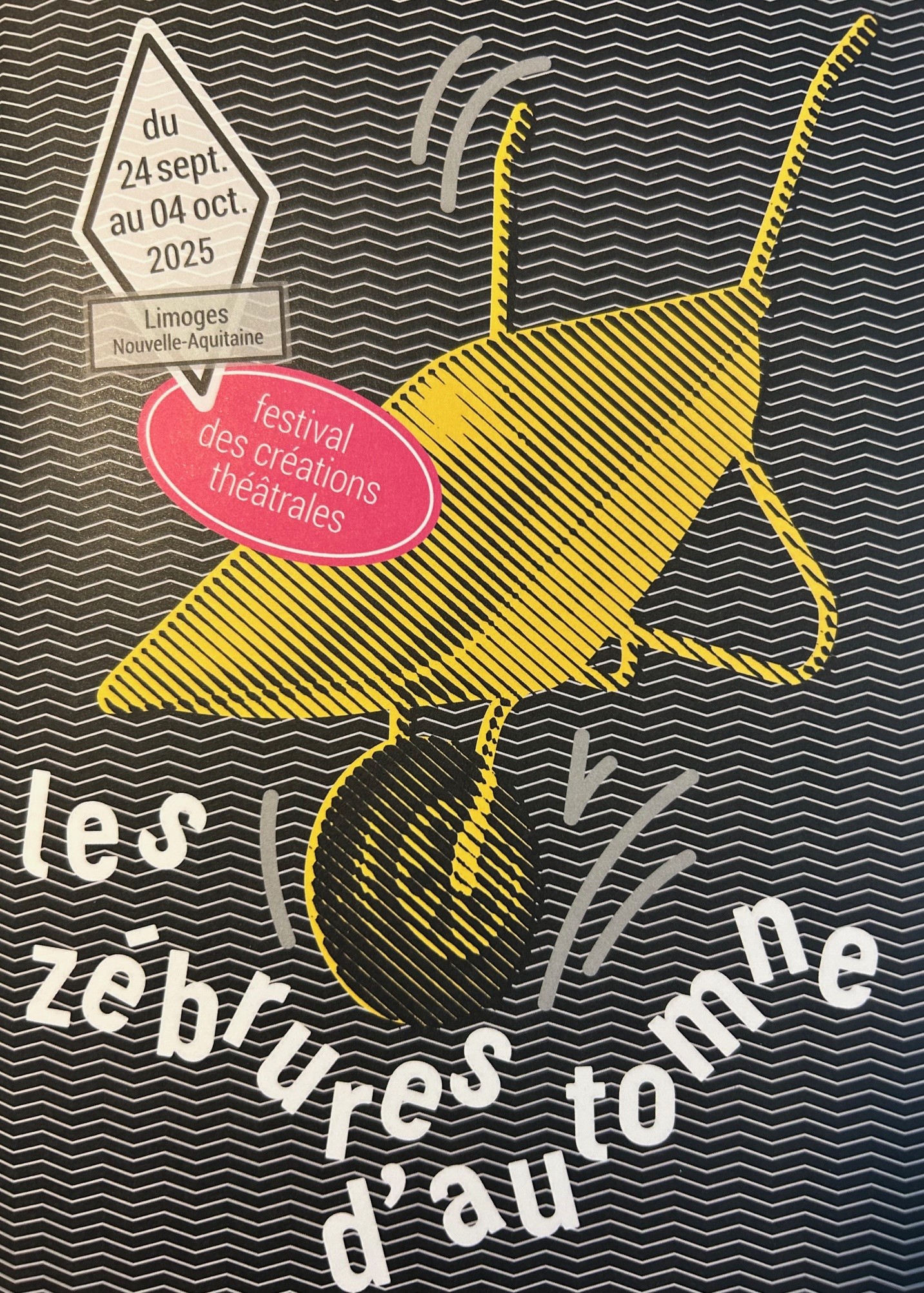 Zébrures d'autone 2025