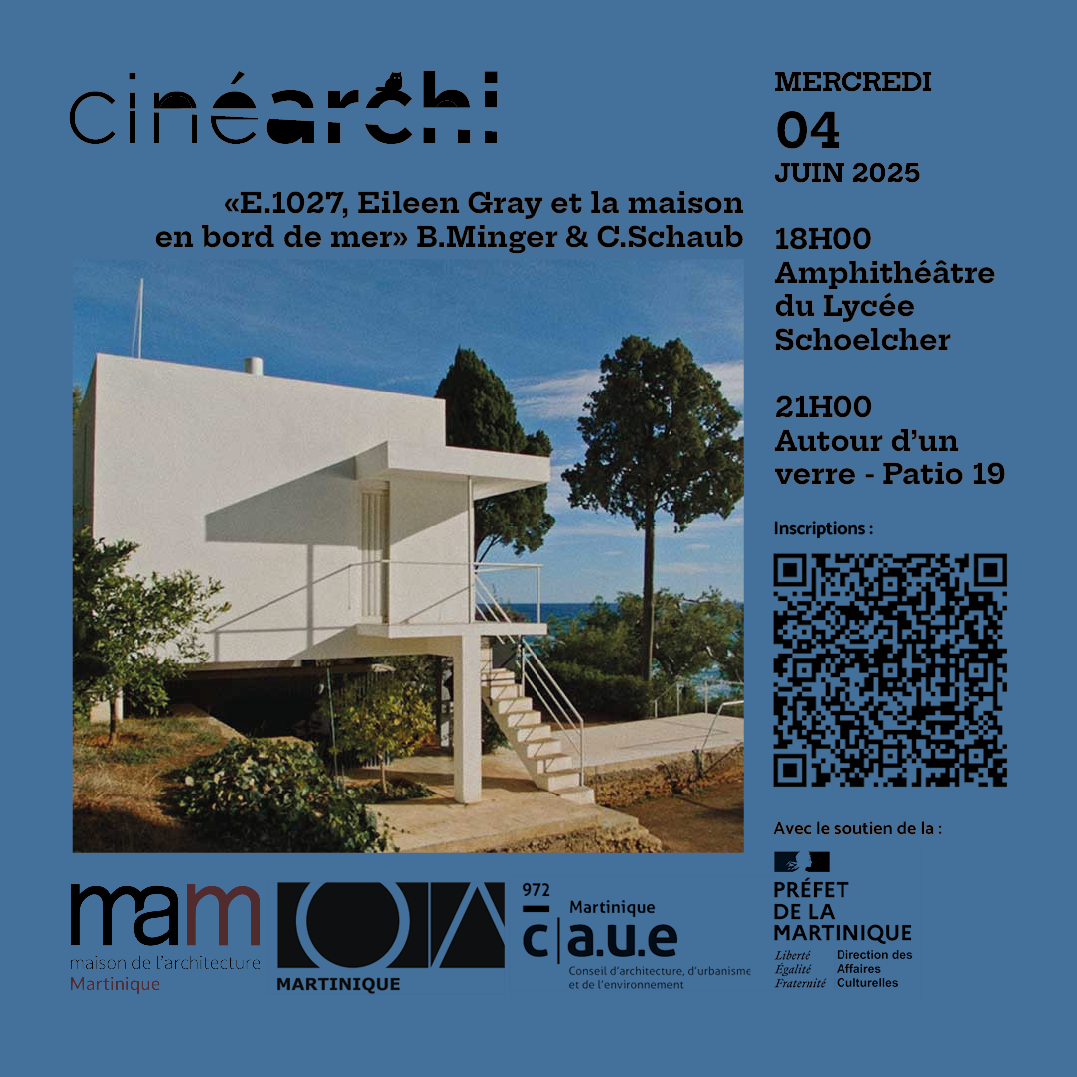 Affiche Cinéarchi